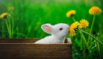 星空体育中国-湖人球员恋情曝光 内线爱情大戏引热议，湖人所以球员