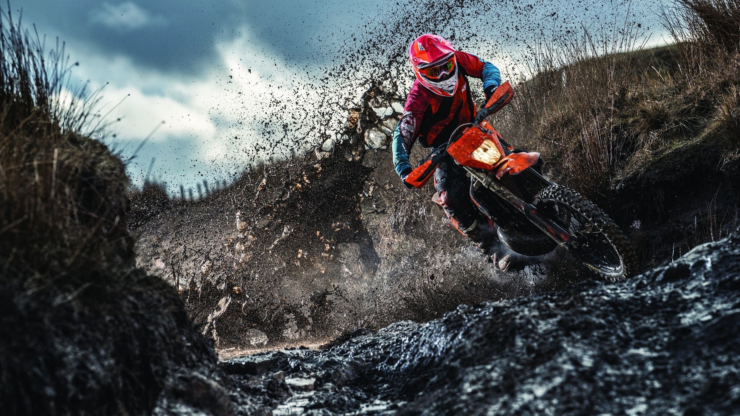 保利斯塔赛季目标明确,保利斯塔嘉宝果特点